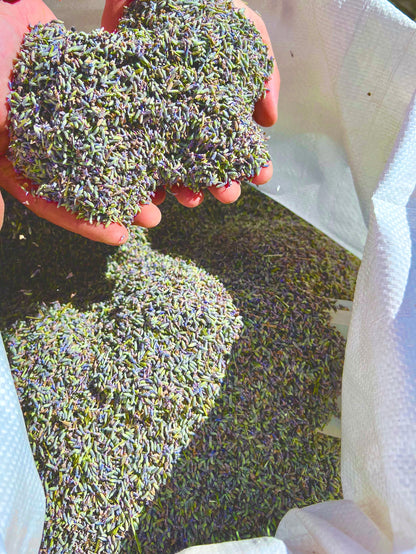 Sac de fleurs de lavande en vrac, 1 kg