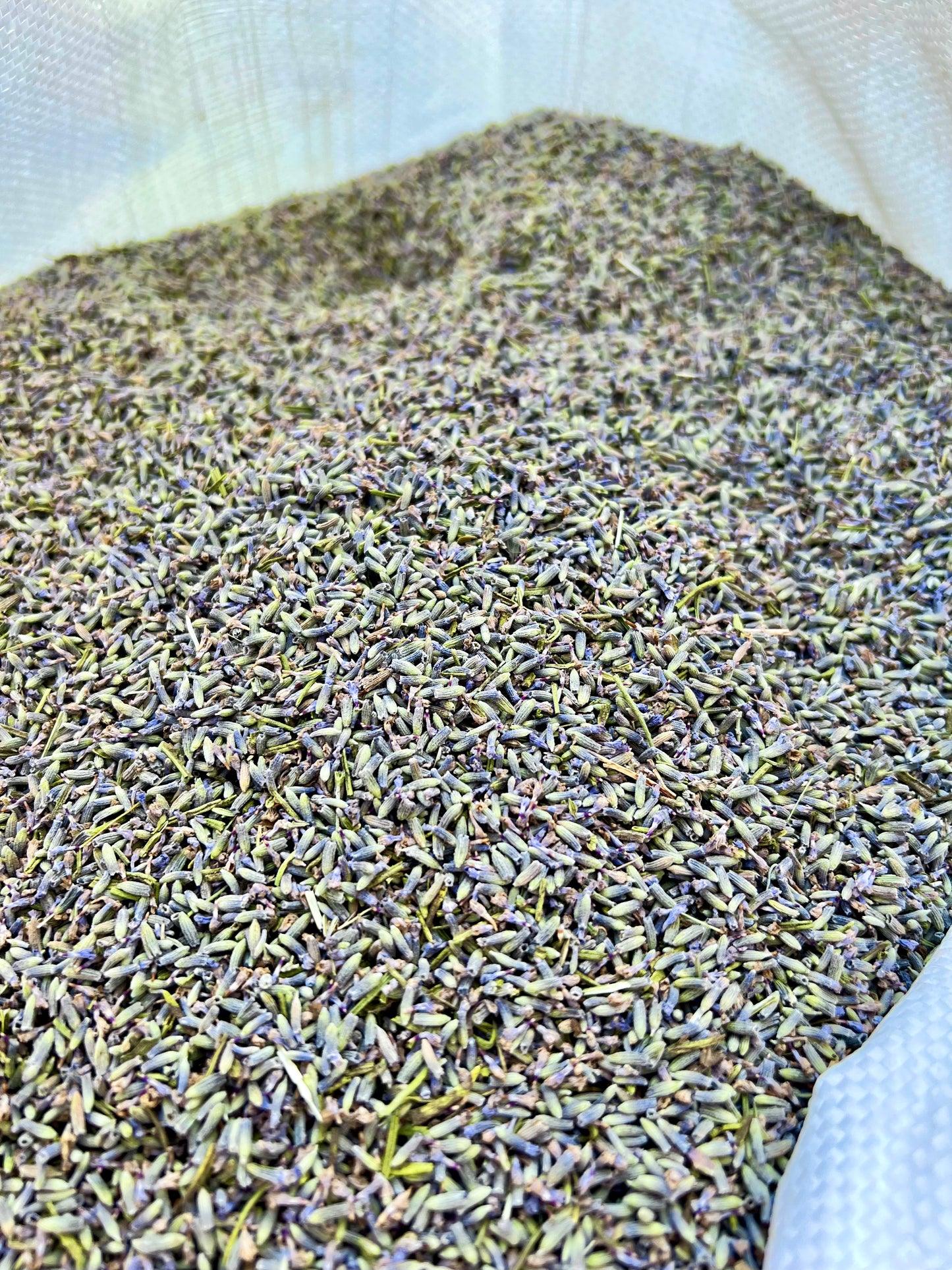 Sac de fleurs de lavande en vrac, 1 kg