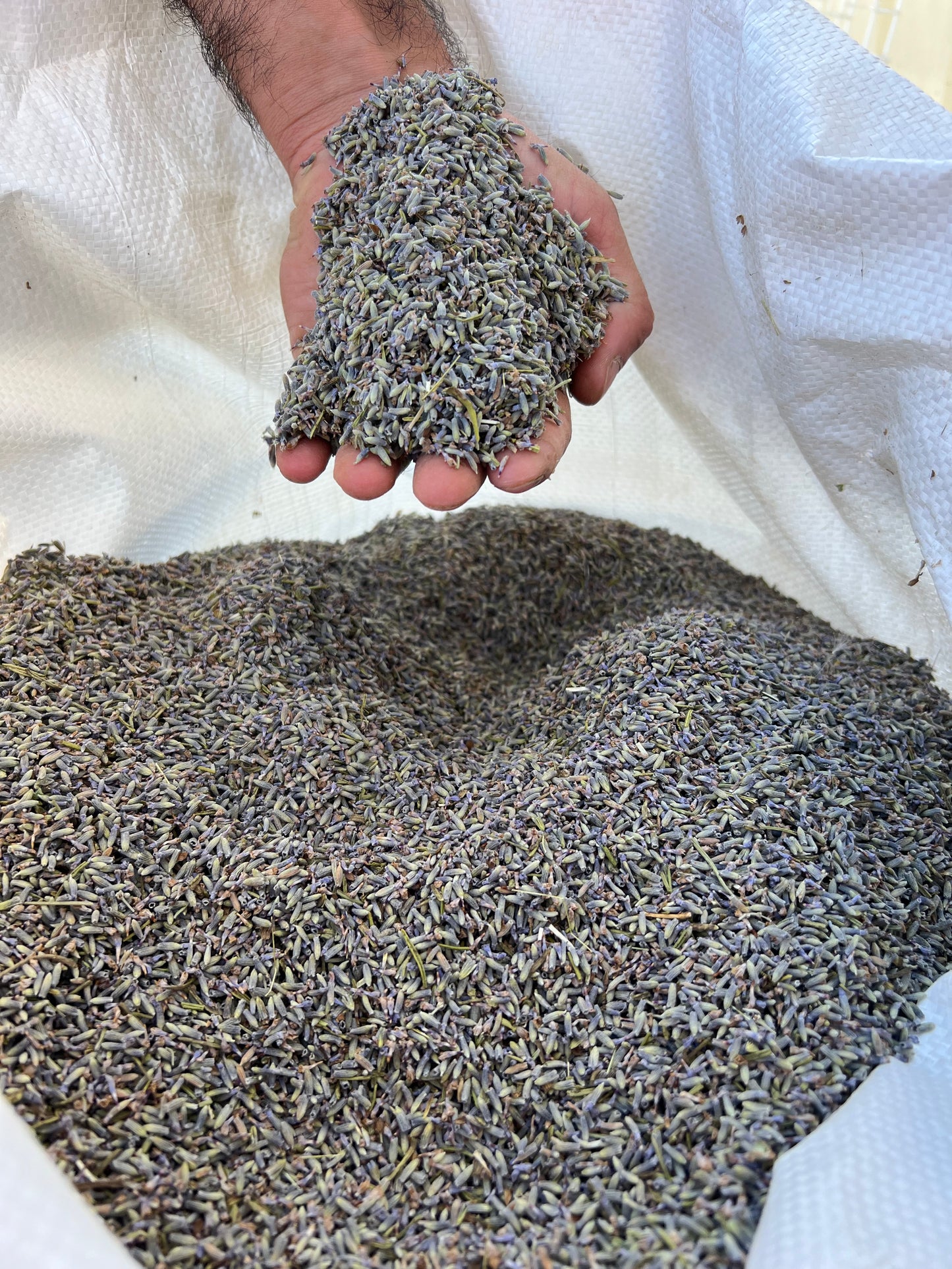 Sac de fleurs de lavande en vrac, 1 kg